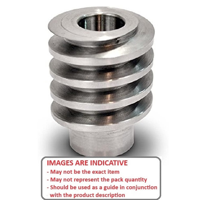 1036503 | WM1R-100-060-320-S3 --- Worm Gears - Pitch Module 1.0 - Worm - 1 Start tooth - 3 Deg 35 Min Module 1.0 - 303 Stainless