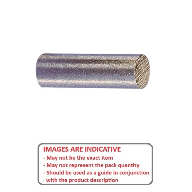 1072216 | MAG-D-06-020-AX (Pair) --- Cylinder Magnets - 6.35x20.24 mm Alnico