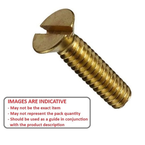 SK079W-038-SL-BRImage