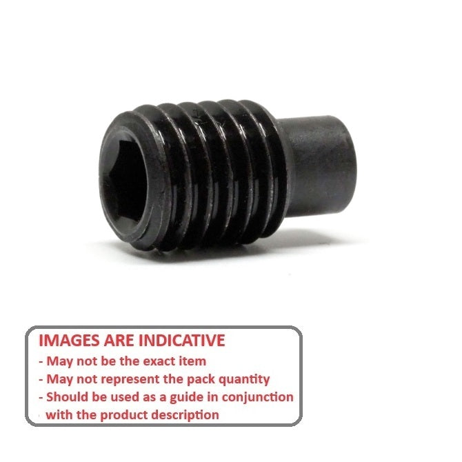 1051265 | SS040M-0050-AS-DP (5 Pcs) --- Dog Point Carbon Steel Socket Set Screws - M4 - 4x0.7mm - 2.8 mm - Carbon Steel Screw