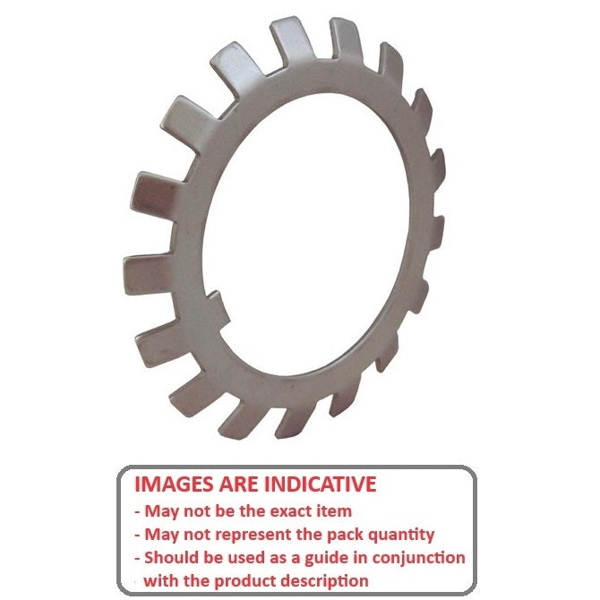 1204460 | WLB190-252-25-ST --- Lock Washers - 190x252 mm - 19 Nr. Tabbed - Carbon Spring Steel Washer