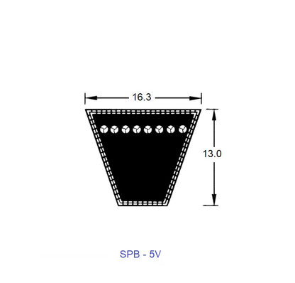 1221619 | BV16-04272-5V1700 --- Wedge Belts - 4272 mm - 16.3 x 13.0mm - Natural Rubber - Fabric Jacket Belt