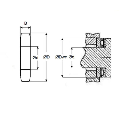 1075593 | T-0079-0191-0016-RW --- Thrust Roller Bearings - 7.92x19.05 mm - Washer Only - Carbon Steel / 1.6 mm Washers Only - Carbon Steel Bearing