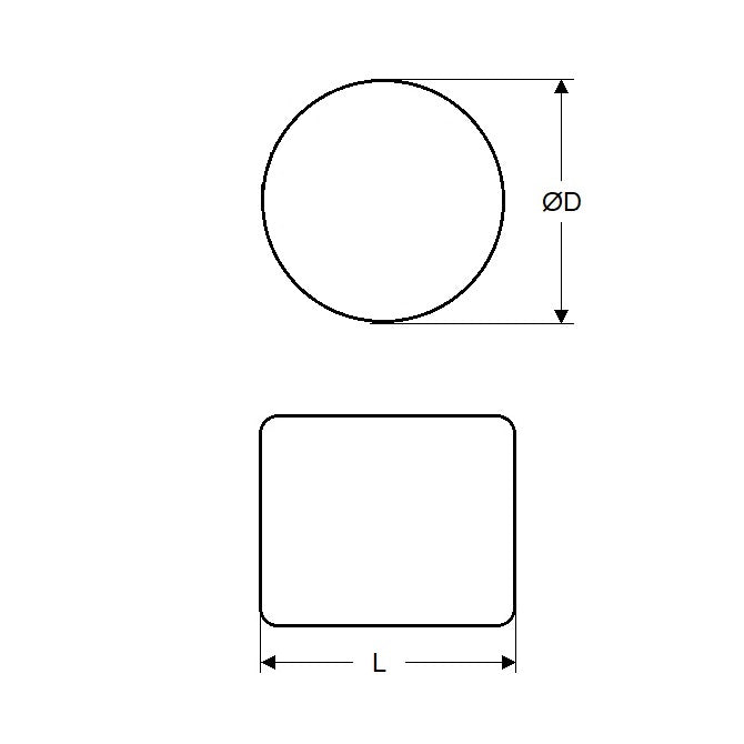 1046812 | MAG-D-03-002-N40 (2 Pcs) --- Rare Earth Magnets - 3.05x1.52 mm - Neodymium 40 Plated - Neodymium 40 Magnet