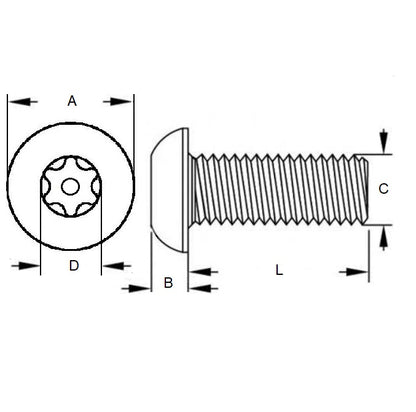 1063315 | SCS0500-050-B-SK-S4 (6 Pcs) --- Security Screws - M5 - 5x0.8mm - 50 mm - 304 Stainless Button Screw