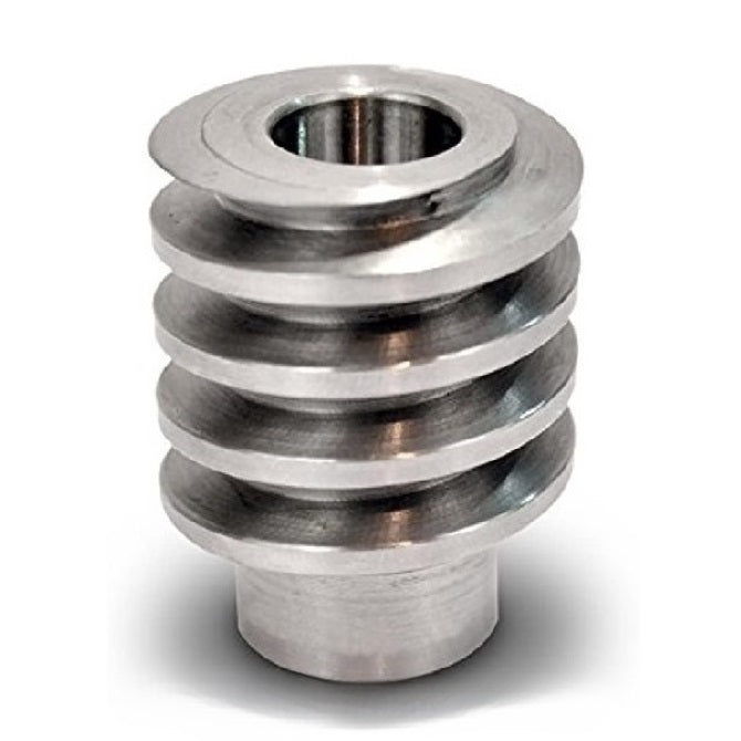 Gears - Worm - 48DP