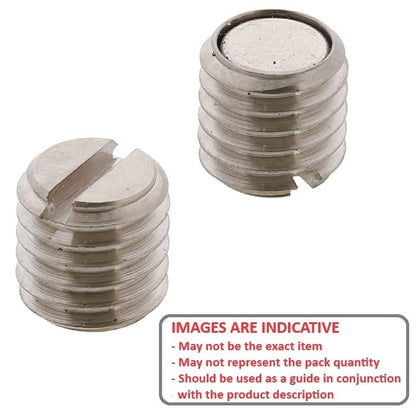 1096469 | SS120M-0120-C-MAG-SL --- Magnetic End Socket Set Screws - M12 - 12x1.75mm - 12 mm - Magnetic Tipped - Carbon Steel Screw