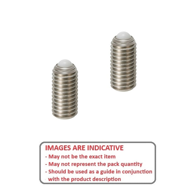 1061313 | SS050M-0120-S4-PO-RB --- Rolling Ball Tip Socket Set Screws - M5 - 5x0.8mm - 11.3 mm  - 304 Stainless Steel with Polyacetal tip Screw