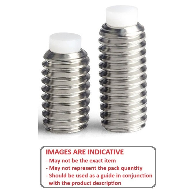 1080669 | SS080M-0160-S4-AT --- Acetal Tipped Socket Set Screws - M8 - 8x1.25mm - 16 mm  - Stainless Steel 304 Similar to A2, 18-8 HRB80 Screw