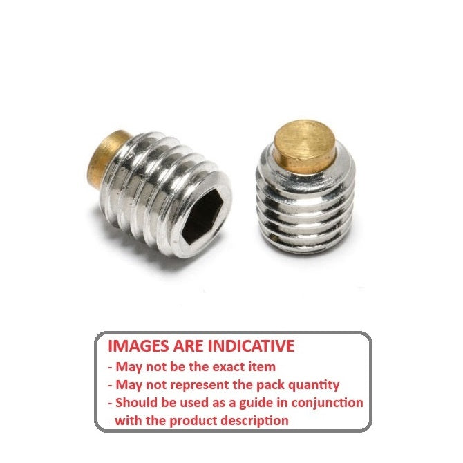 1045397 | SS030M-0120-S4-BT --- Brass Tipped Socket Set Screws - M3 - 3x0.5mm - 12 mm  - Stainless Steel 304 Similar to A2, 18-8 HRB80 Screw